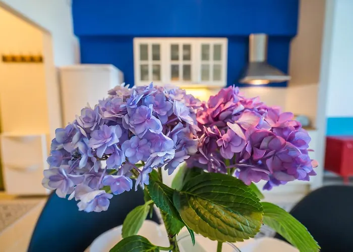 Bltn Panorama Apartment